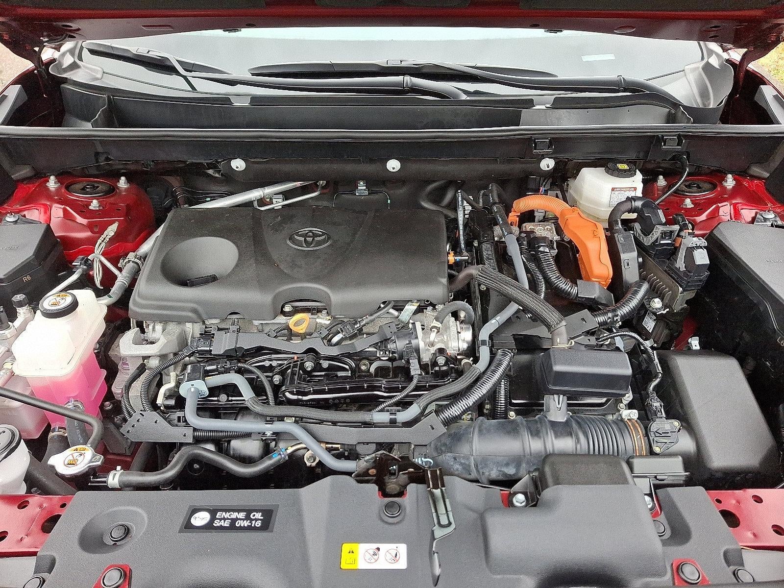 2024 Toyota RAV4 Hybrid LE AWD (Natl)