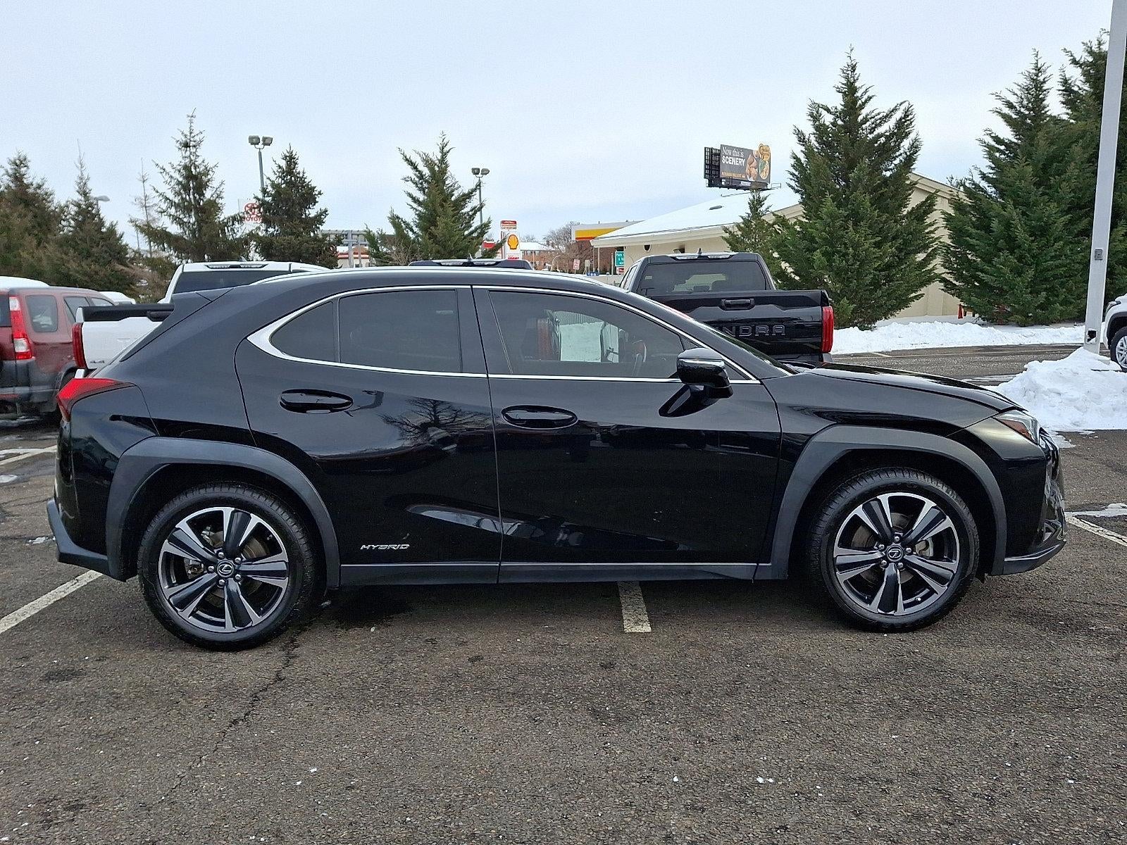 2021 Lexus UX 250h AWD