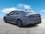 2019 Toyota Camry XLE Auto (SE)