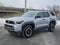 2025 Toyota 4Runner TRD Sport Premium 4WD (Natl)