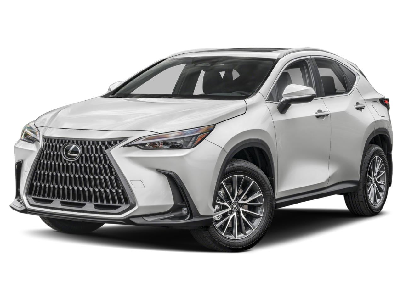 2024 Lexus NX 350h 350h AWD's photo