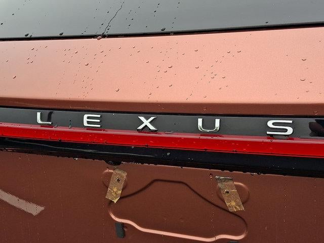 2025 Lexus RX Hybrid 350h - Photo 29