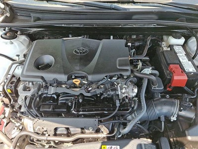 2024 Toyota Camry SE Auto (Natl)
